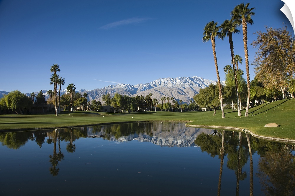 Big, horizontal photograph of water surrounded by trees and palms at the Desert Princess Country Club.  Mountains can be s...