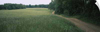 Dirt road passing through a field near Hermann, Missouri