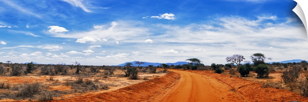 Dirt road passing through Tsavo East National Park, Kenya.