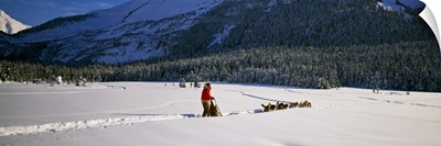 Dog musher and sled dog team on snow-covered trail, Chugach Mountains, Alaska