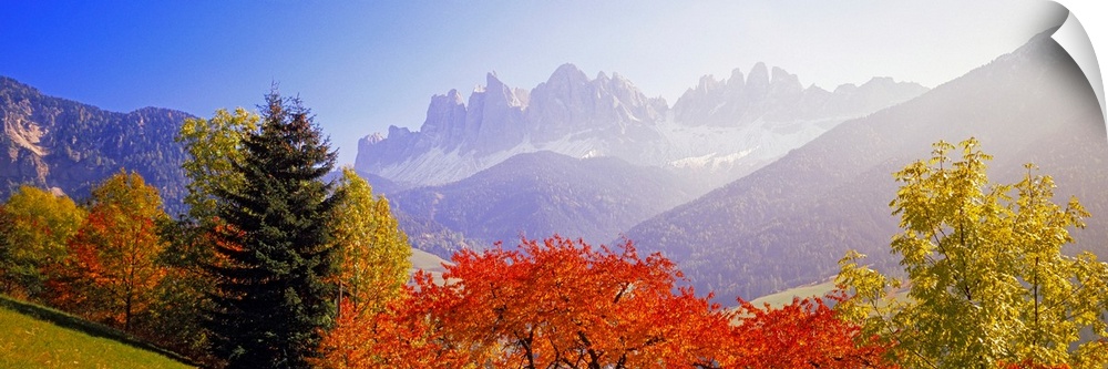 Panoramic photograph of autumn tree line with mountains in distance.