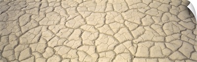 Dried Mud Death Valley CA