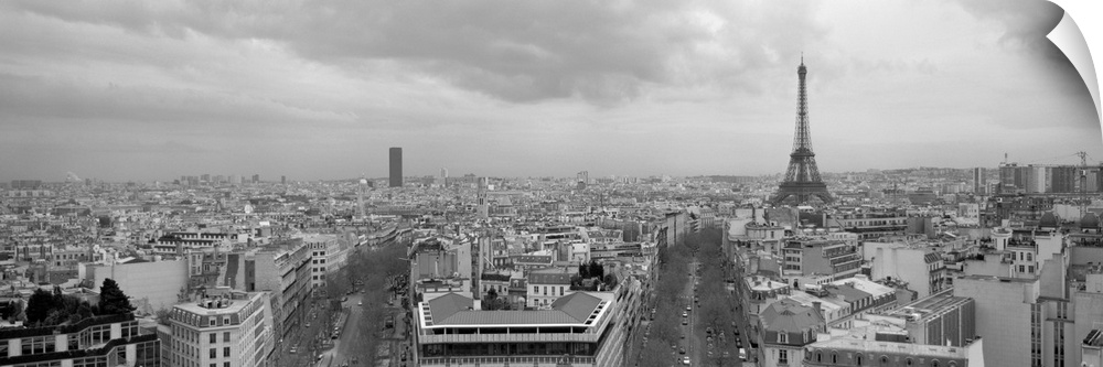 An aerial, monochromatic photograph of the city skyline and two large tree lined avenues below in this panoramic wall art.
