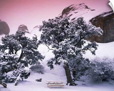 Empty bench under snow covered trees, Arches National Park, Utah,