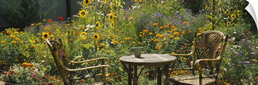 Garden scene of two wicker chairs and a small outdoor table surrounded by several plants, including sunflowers and marigolds.