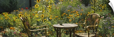 Empty chairs and a table in a garden, Taos, New Mexico