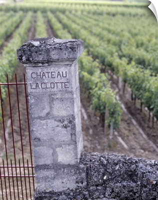 Entrance of a vineyard, Chateau La Clotte, Bordeaux, France
