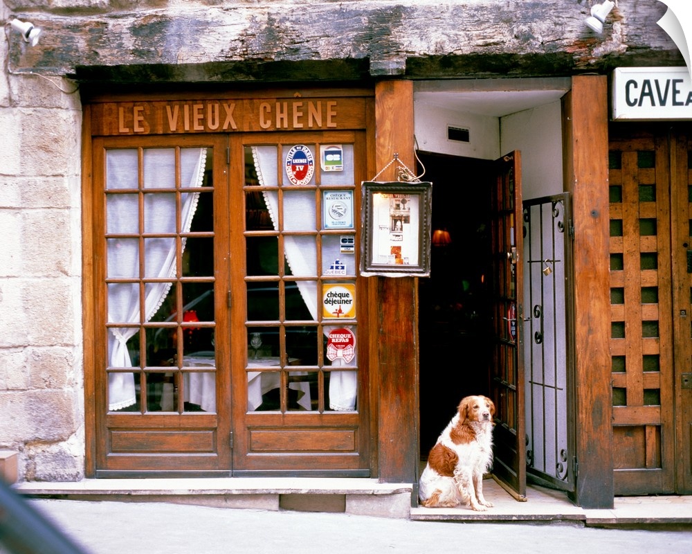 Huge photograph shows a dog sitting within the entrance of a restaurant in Europe.  The stone faoade of this building is c...