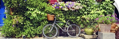 Europe, France, Rochefort en Terre, Bicycle in front of wall covered with plants and flowers