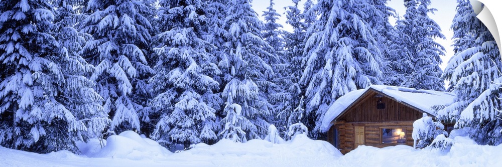 A panoramic photograph of snow covered pine trees and a small log cabin burrowed in the snow drifts.