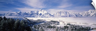 Evergreen trees on a snow covered landscape, Grand Teton National Park, Wyoming