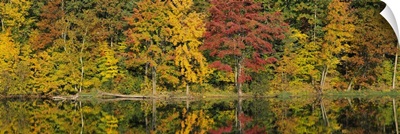 Fall Foliage Saratoga Springs NY