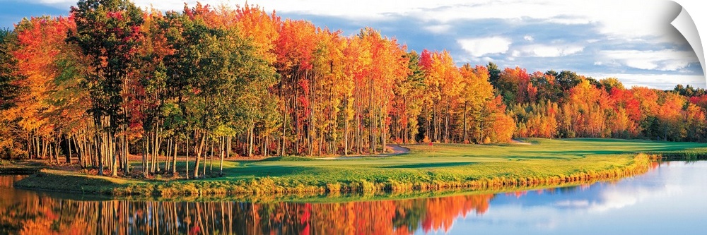 Wide angle photograph of a bright autumn tree line along the waters edge, on a golf course in New England.