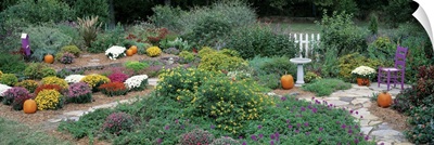 Fall Residential Garden