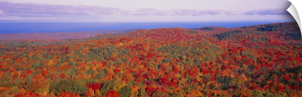Deciduous forest showing wide array of autumn colors across the hills of Michigan, with a lake in the background.