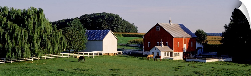 Farm land is photographed in panoramic view with large trees on either side of the barn and in the background.