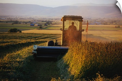 Farmer Harvesting Hay