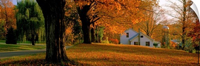 Farmhouse with Autumn Trees near Burlington VT