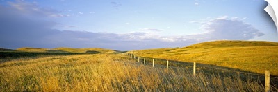 Fence in a field, Standing Rock Indian Reservation, North Dakota