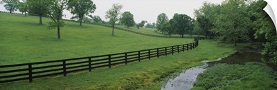 Fence in a field, Woodford County, Kentucky
