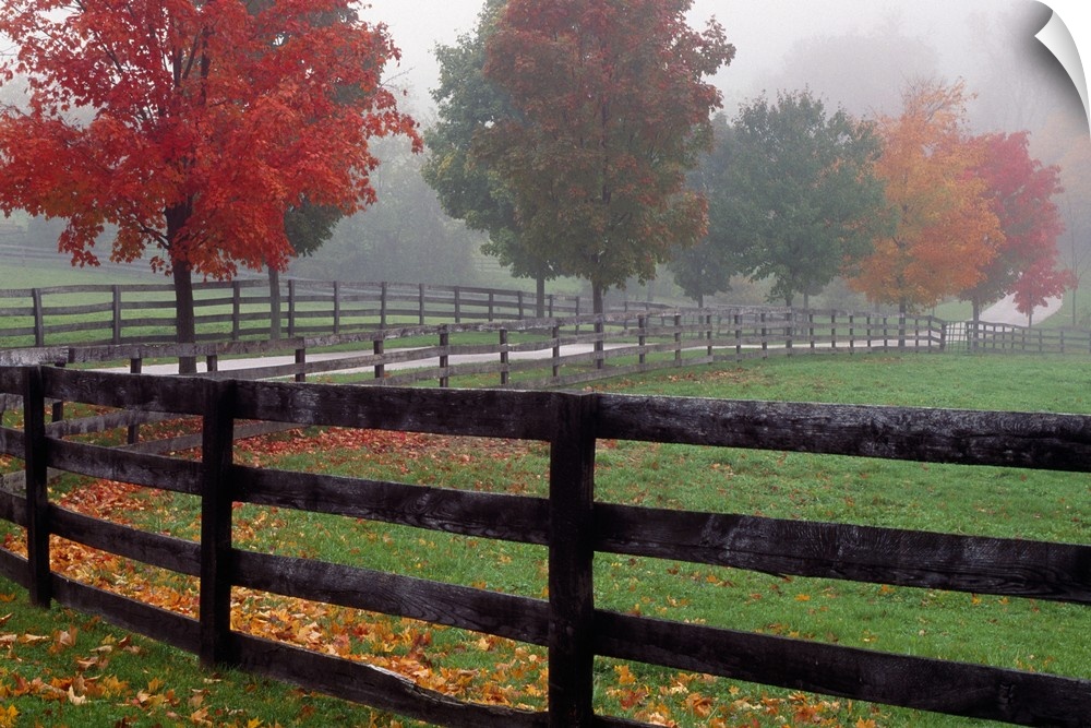 Wall docor of an image of a fence running down a path with bright fall foliage surrounding it.