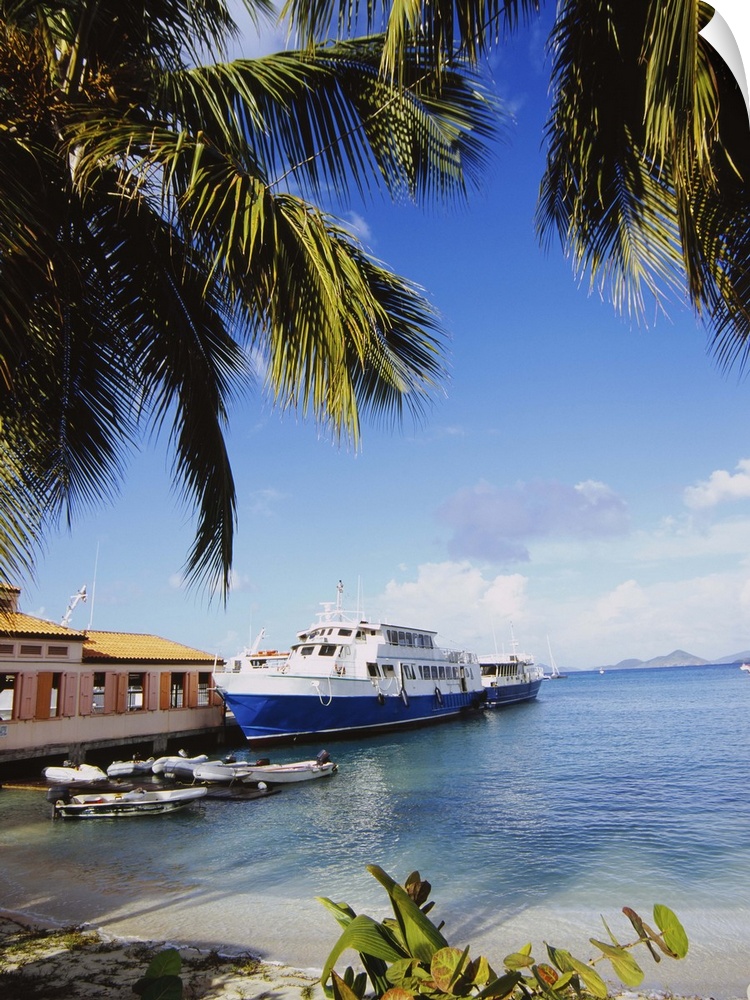 A passenger boat is docked along a pier in the Caribbean. Palm trees on a beach hang over the top of the picture.