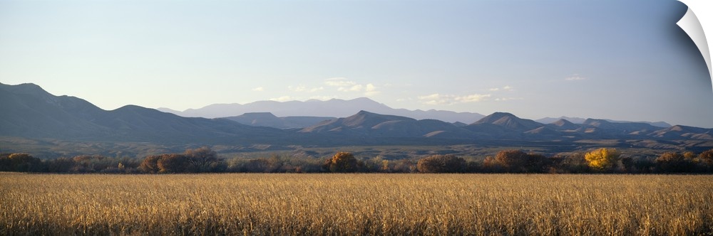 A panoramic landscape of mountains and fields in New Mexico's wildlife refuge Bosque del Apache.