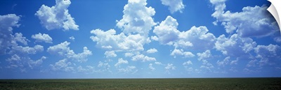 Field Clouds