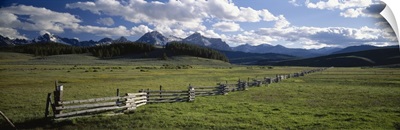 Field in front of mountains, Sawtooth Mountains, Idaho