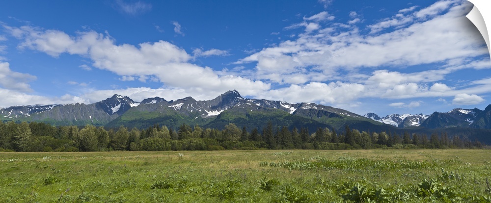 Field with a mountain range in the background, Kenai Peninsula, Seward, Alaska, USA