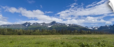 Field with a mountain range in the background, Kenai Peninsula, Seward, Alaska