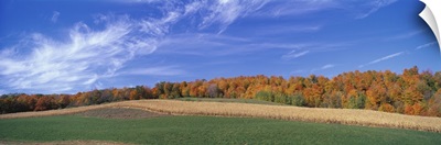 Fields Aspens Quebec Canada
