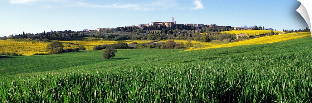 Fields with a village in the background, Pienza, Tuscany, Italy