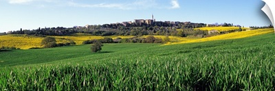 Fields with a village in the background, Pienza, Tuscany, Italy