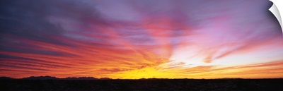 Fiery Sky over Sonoran Desert