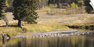 Fisherman fly fishing in a stream, Yellowstone National Park, Wyoming