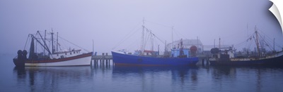 Fishing boats docked at a harbor, Provincetown, Cape Cod, Massachusetts