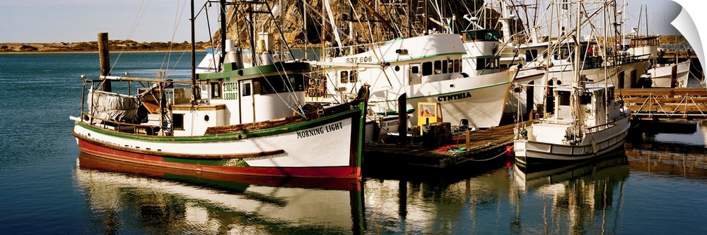 Fishing boats in the sea, Morro Bay, San Luis Obispo County, California, USA