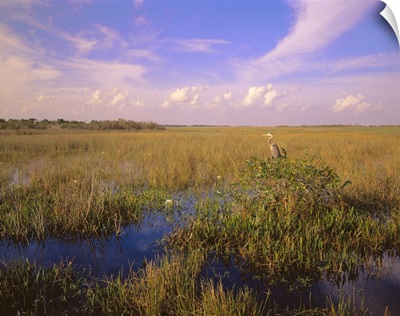 Florida, Everglades National Park
