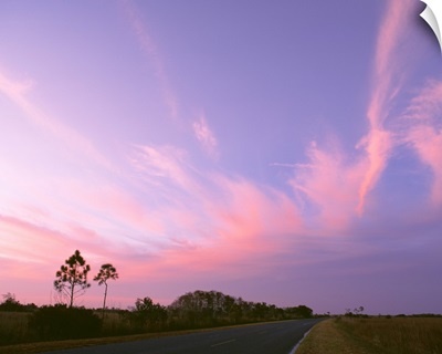Florida, Everglades National Park, Mahogany Hammock, Highway through the national park