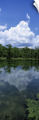 Florida, Wakulla Springs State Park, Reflection of cloud in water