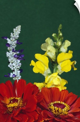 Flower arrangement with zinnia, salvia, and snapdragons, close up.