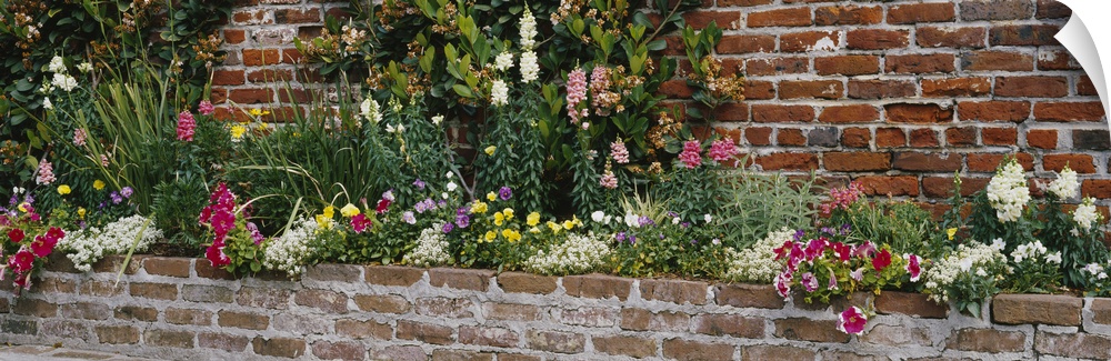 Flower beds along a brick wall, West Jones Street, Savannah, Georgia