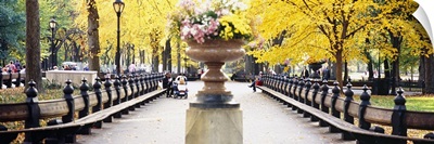Flower pot on a walkway, Central Park, Manhattan, New York City, New York