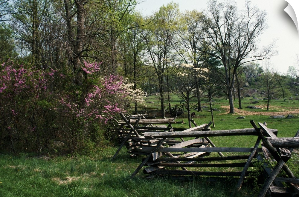 This home docor accent is a landscape photograph of a primitive fence passing through a meadow surrounded by young trees.