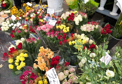 Flowers for sale at a weekly market, Apt, Vaucluse, Provence Alpes Cote dAzur, France