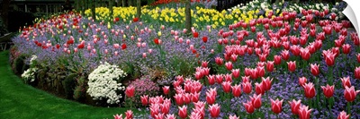 Flowers in a garden, Butchart Gardens, Brentwood Bay, Vancouver Island, British Columbia, Canada