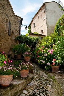 Flowers pots on street, Lacoste, France