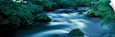 Flowing Stream Aomiri Japan