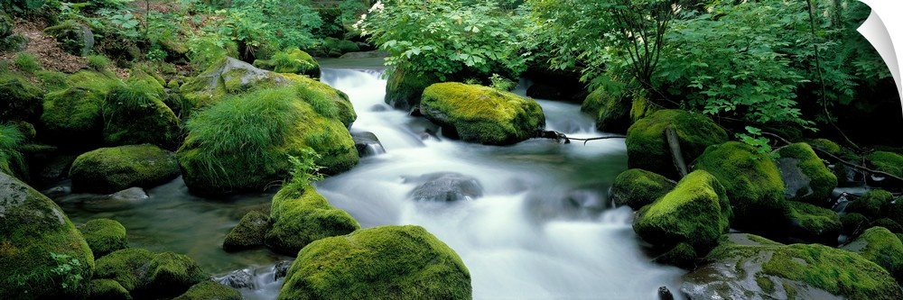 Flowing Stream (Oirase ) Aomiri Japan